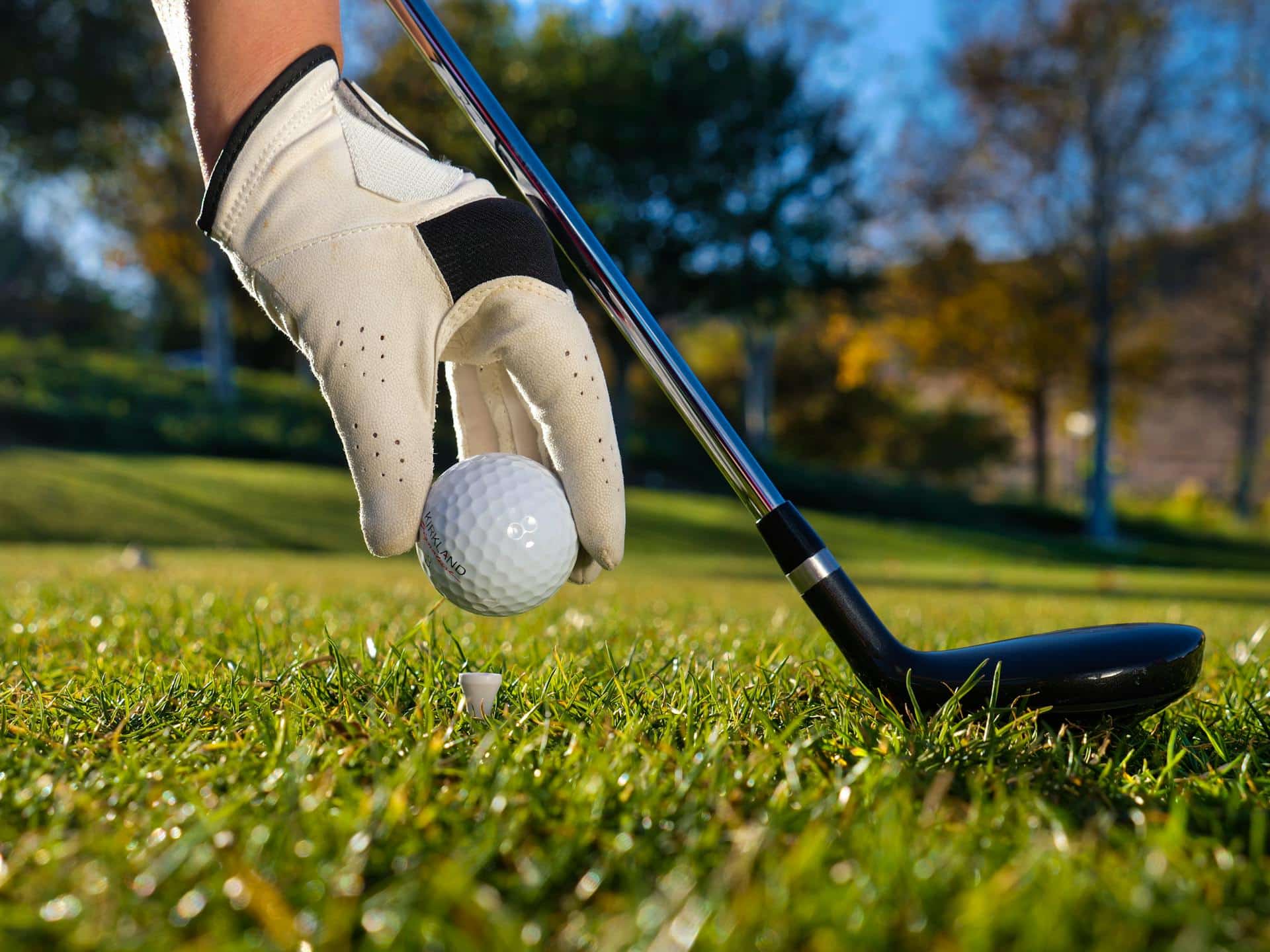 golf shaft